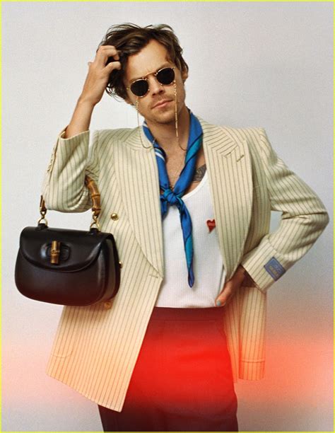 gucci harry campaign|harry styles Gucci handbags.